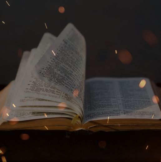 How to Apply the Bible to Your Life