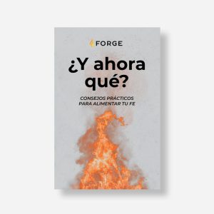 Now What? (Spanish)